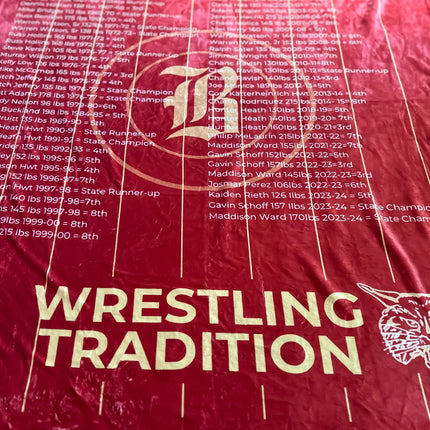 READY TO SHIP BOBCATS BLANKETS