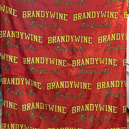 Collegiate Blankets 2.0￼