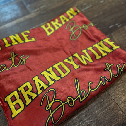 Collegiate Blankets 2.0￼