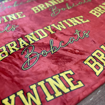 Collegiate Blankets 2.0￼