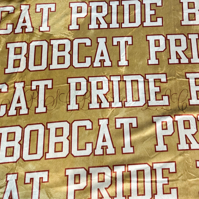 Collegiate Blanket
